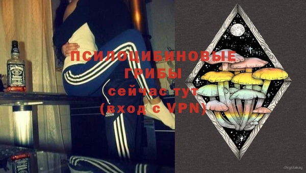 ПСИЛОЦИБИНОВЫЕ ГРИБЫ Абинск