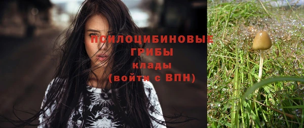 метадон Абаза