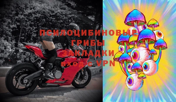стафф Абдулино