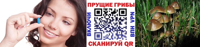 Галлюциногенные грибы Cubensis  Тимашёвск 